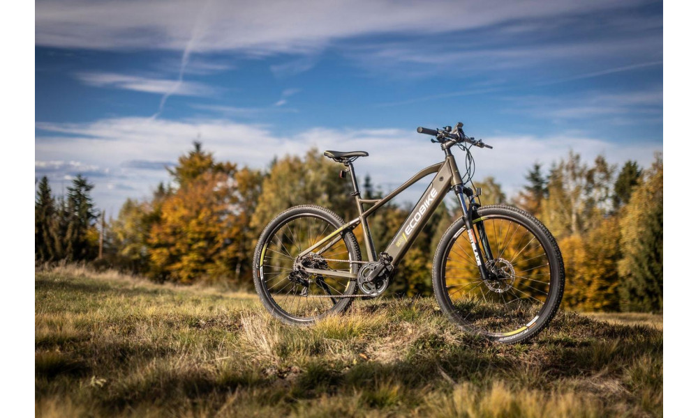 Электрический велосипед Ecobike SX 300 29" 48V green - 7