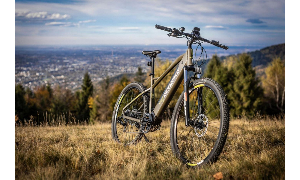 Электрический велосипед Ecobike SX 300 29" 48V green - 8