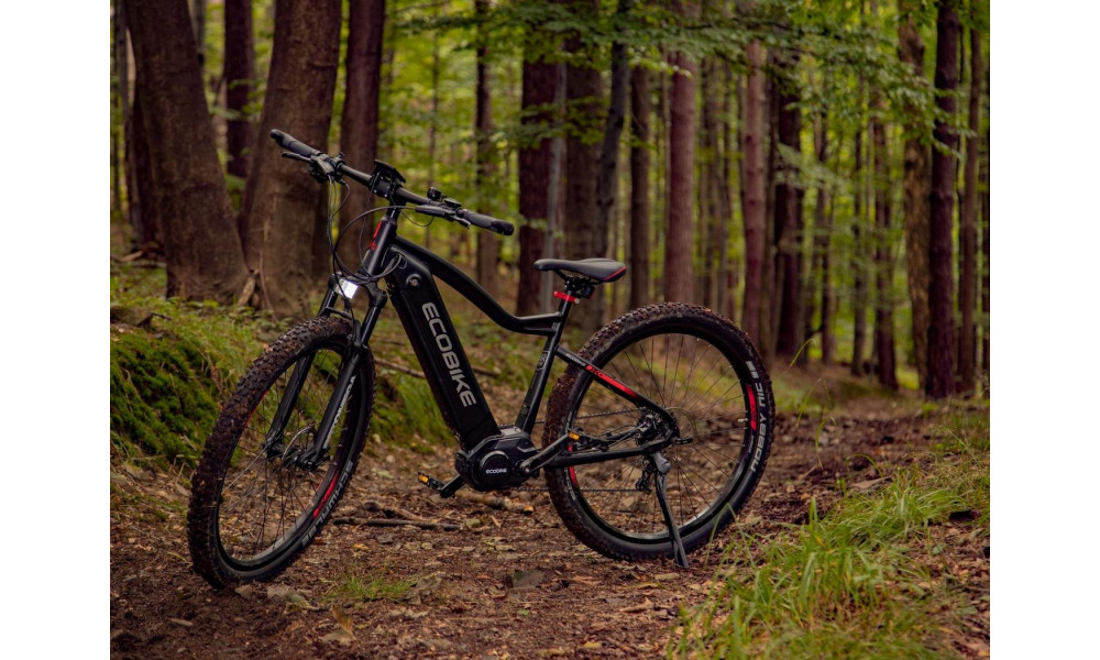 E-bike Ecobike RX 500 29" 48V - 5