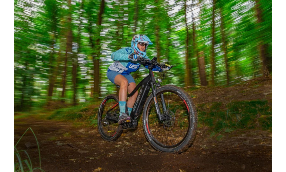 E-bike Ecobike RX 500 29" 48V - 8