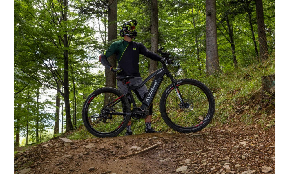 E-bike Ecobike RX 500 29" 48V - 9