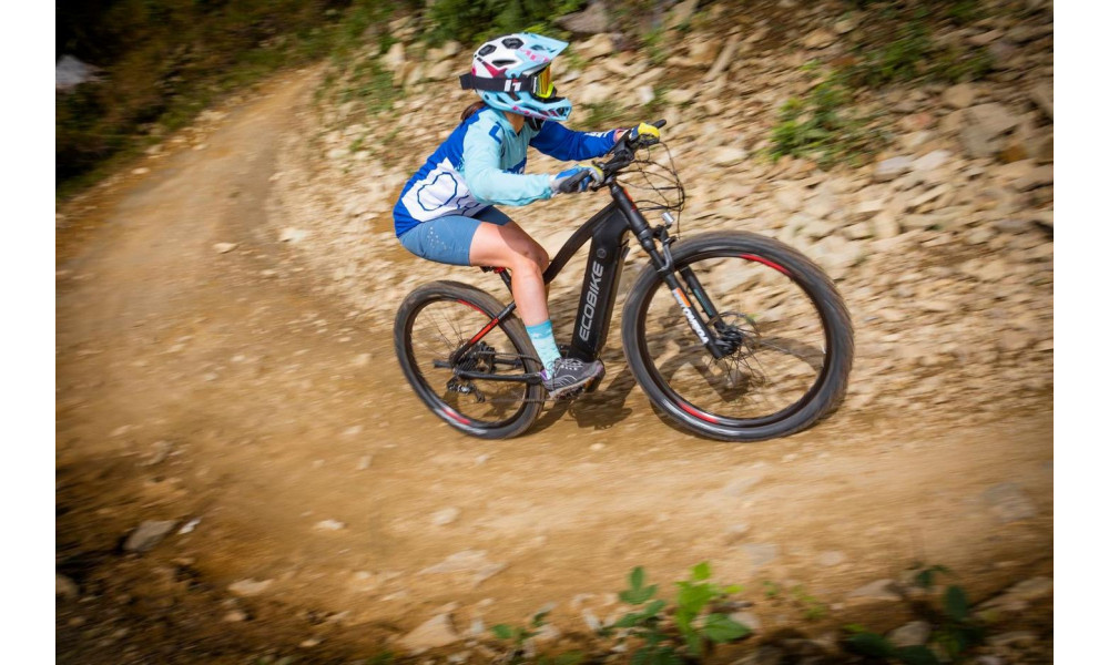 E-bike Ecobike RX 500 29" 48V - 10