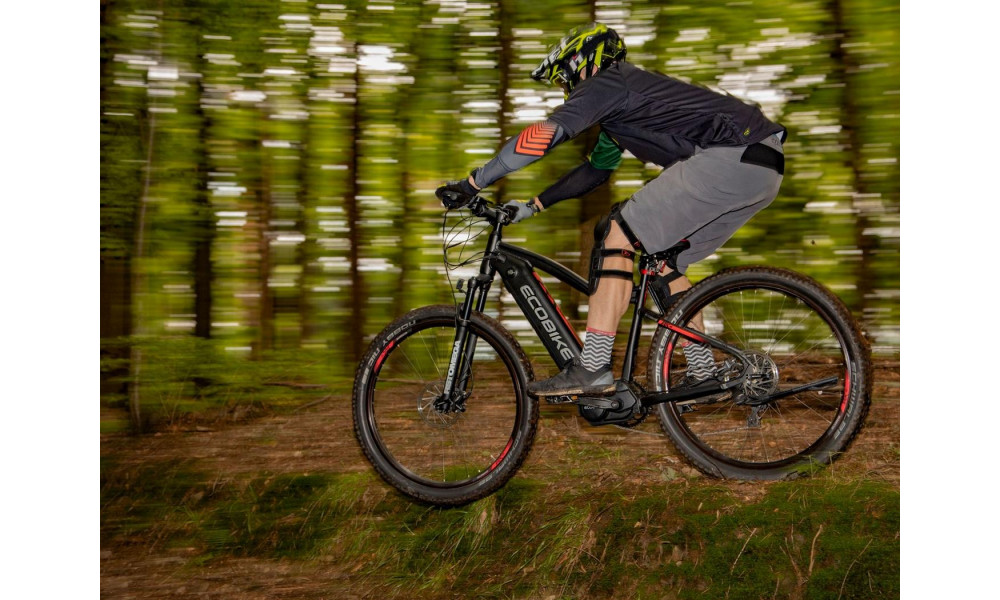 E-bike Ecobike RX 500 29" 48V - 14