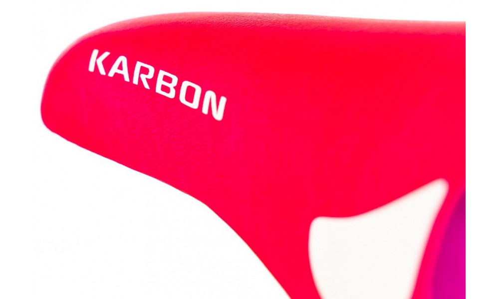 Bicycle Karbon Kitty 20 pink-white - 2