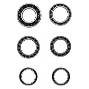 Wheel upgrade kit CeramicSpeed Coated DT-2-C for DT 180 Road (101803)