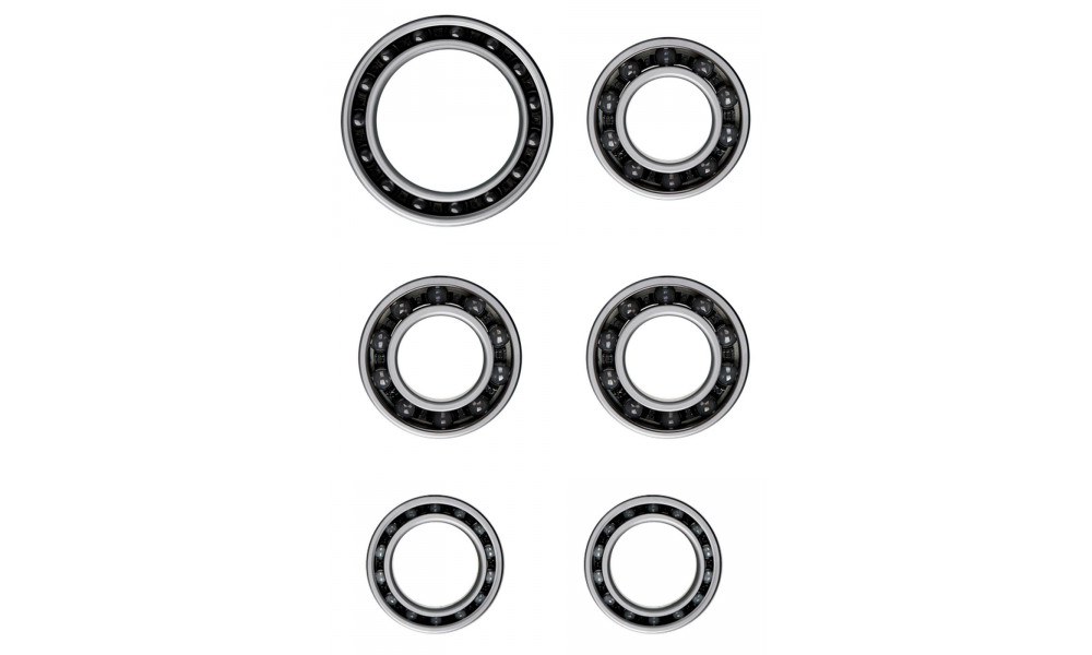 Wheel upgrade kit CeramicSpeed Coated DT-4-C for DT 240s disc, oversized for lefty (101807) 