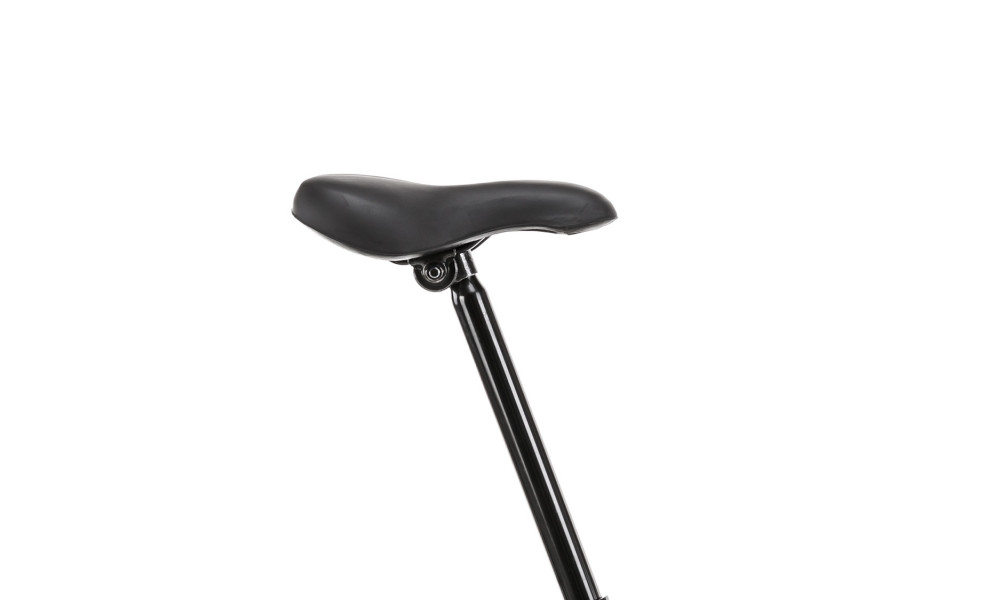 Велосипед Romet Wigry Eco 20" 2023 black - 3