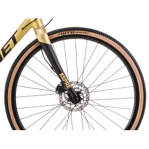 Bicycle Romet Aspre 2 2023 black-gold