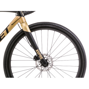 Bicycle Romet Aspre 2 LTD 2023 black-gold