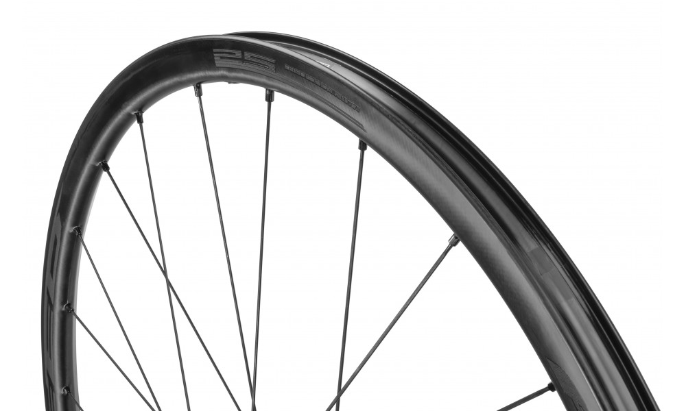 Комплект велосипедных колес Fulcrum Speed 25 DB 2WF C21 AFS front HH12 - rear HH12/142 USB - 5