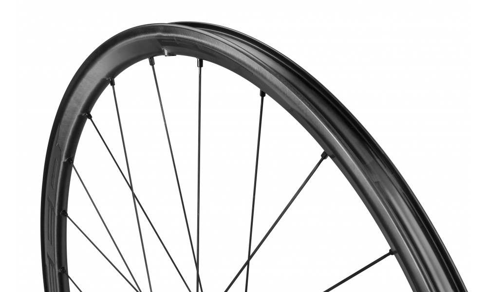 Комплект велосипедных колес Fulcrum Speed 25 DB 2WF C21 AFS front HH12 - rear HH12/142 USB - 6