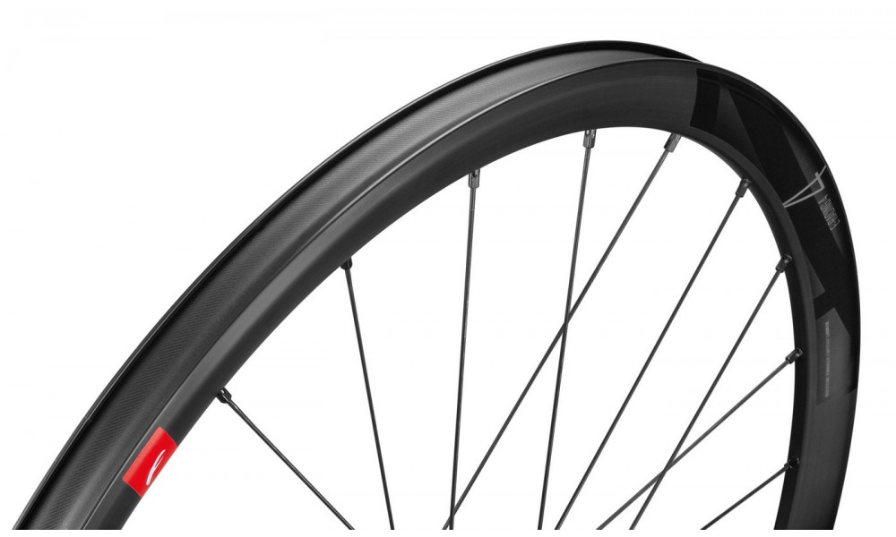 Комплект велосипедных колес Fulcrum E-Racing 4 DB 2WF-R C22 AFS front HH12 - rear HH12/142 with DRP - 5