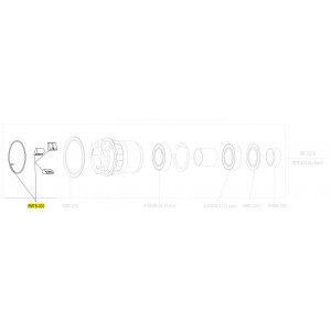 Сервисный комплект втулки Fulcrum 3 steel pawls with spring MTB