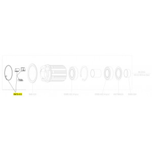 Сервисный комплект втулки Fulcrum 3 steel pawls with spring MTB