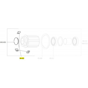 Сервисный комплект втулки Fulcrum pawls with spring for Shimano/Campagnolo road rear hubs